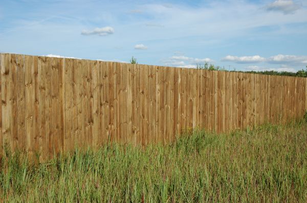 Pine Fence Building